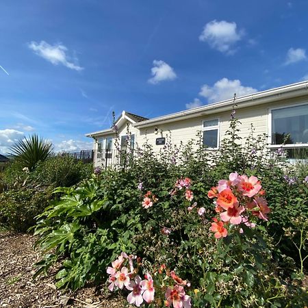 East Kitcham Lodge Launceston Eksteriør billede